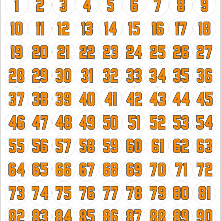 Two Color Number Sheet (Clear Vinyl)